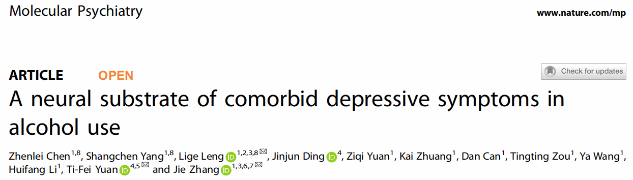 厦门大学张杰、冷历歌教授阐明酒精成瘾导致抑郁的分子机制