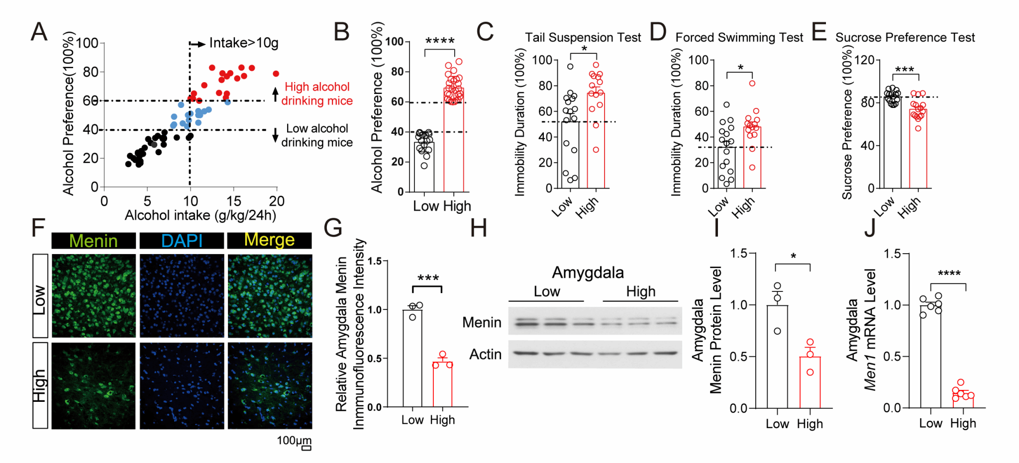 厦门大学张杰、冷历歌教授阐明酒精成瘾导致抑郁的分子机制