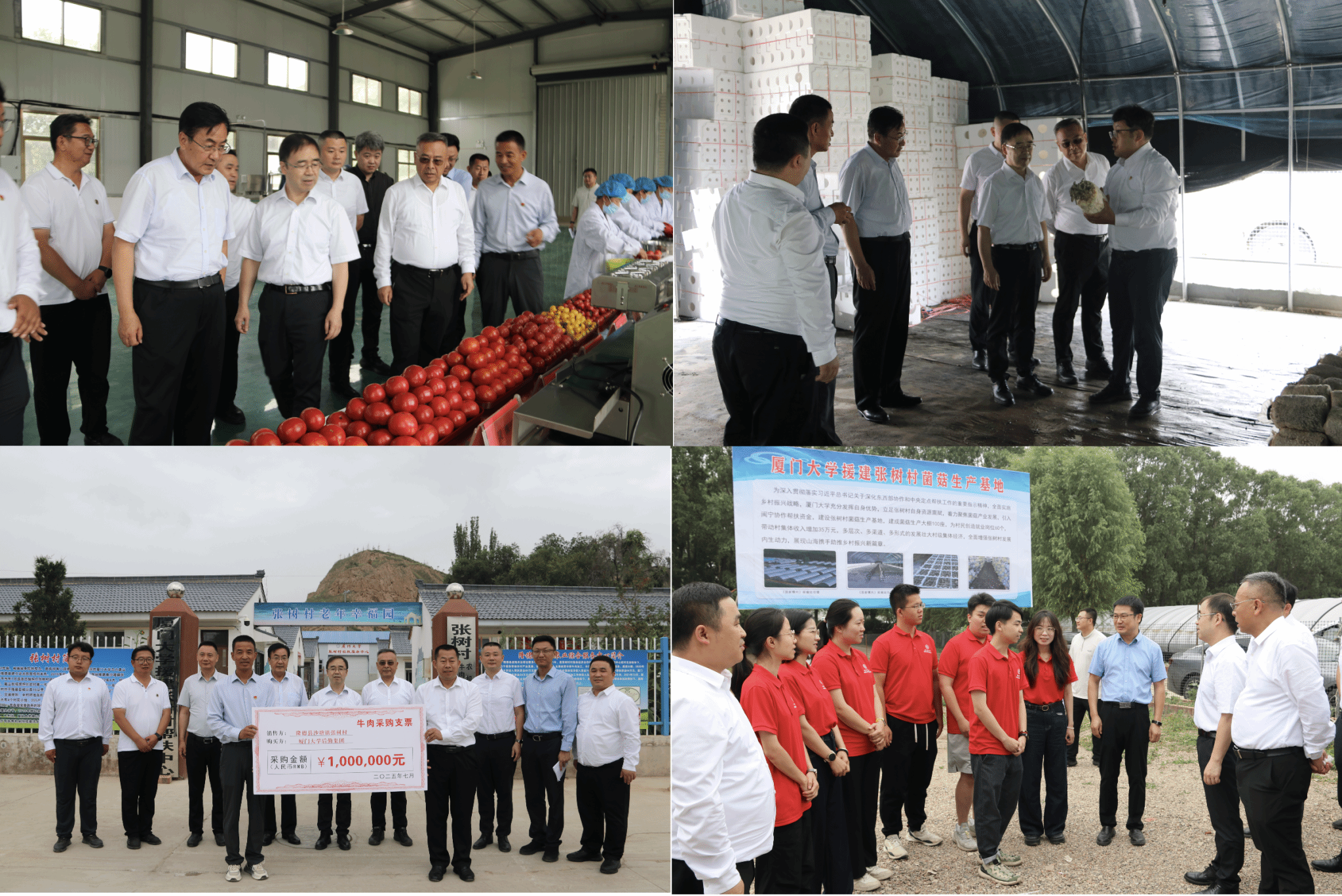 50272c5f68f5b4827f136902d11f636