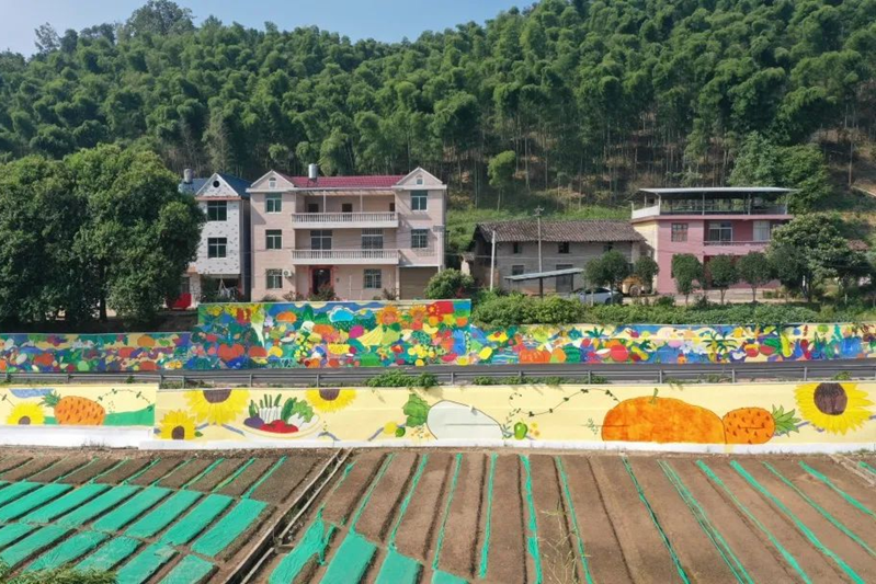 福建南平:百米墙绘联结千里乡情 艺术乡村村貌革新_fororder_图片1