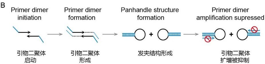 反应B.jpg