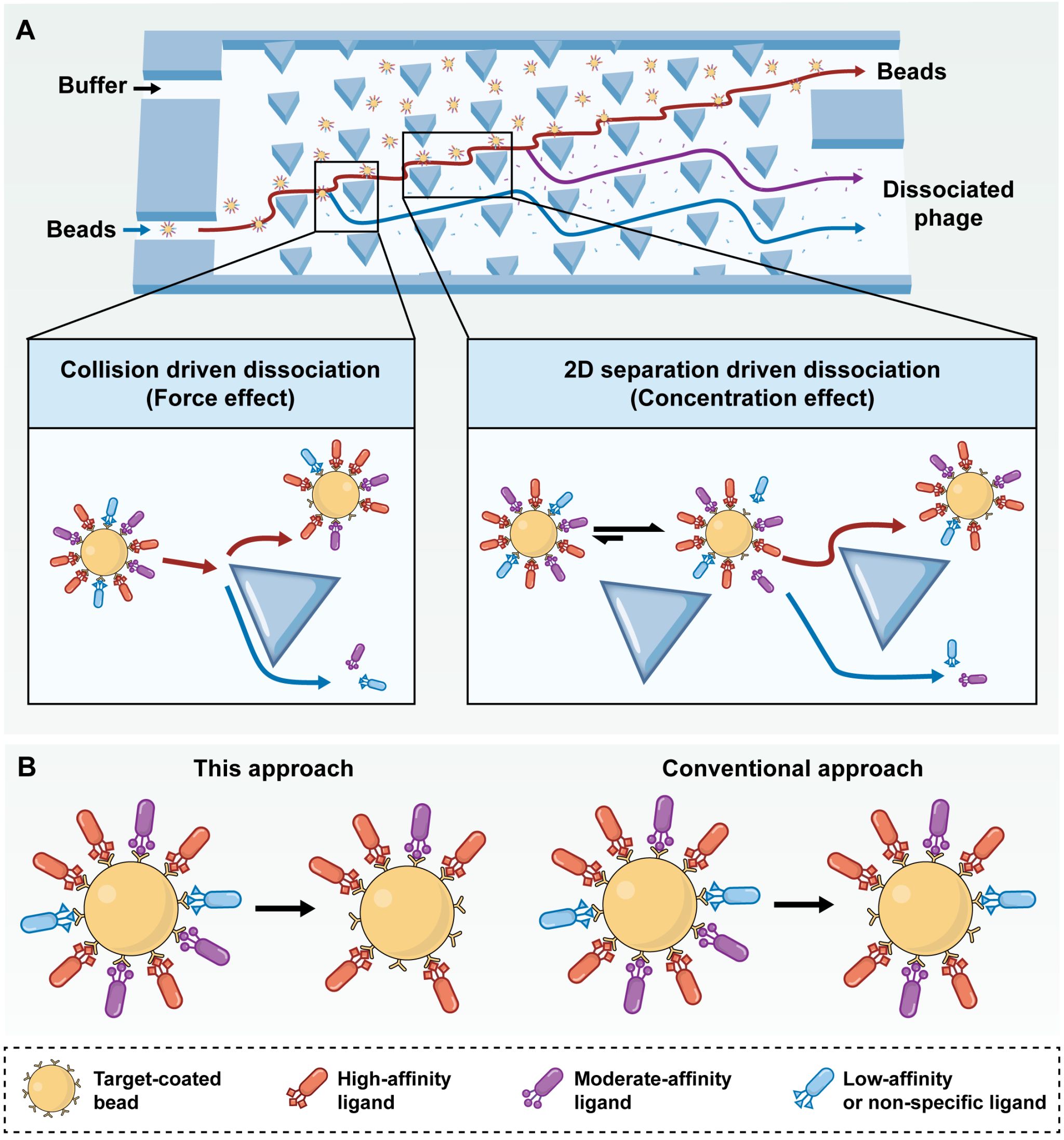 PNAS 202210 朱志 图片.jpg