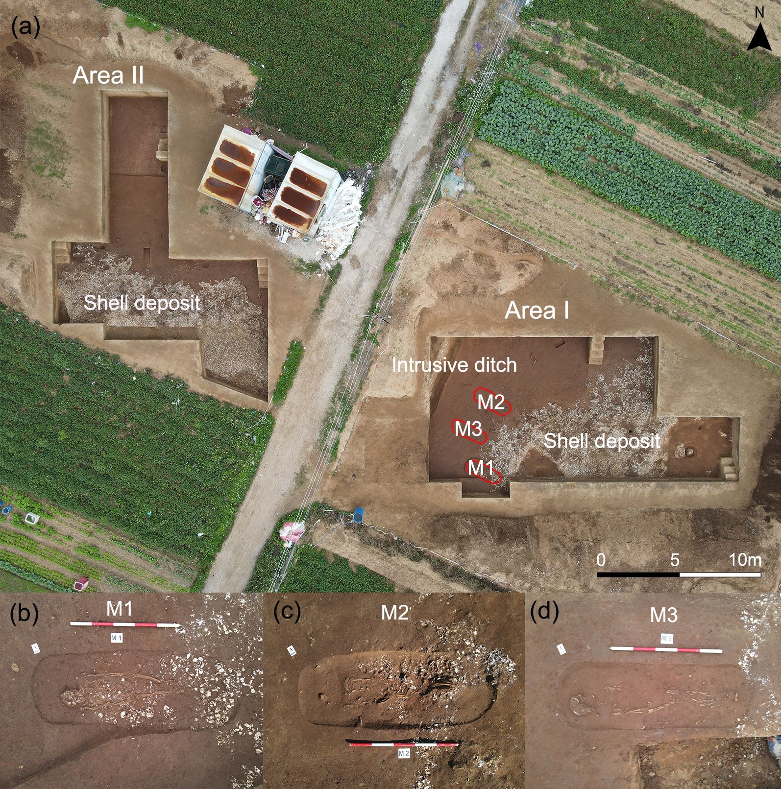 Figure 2_revised.jpg