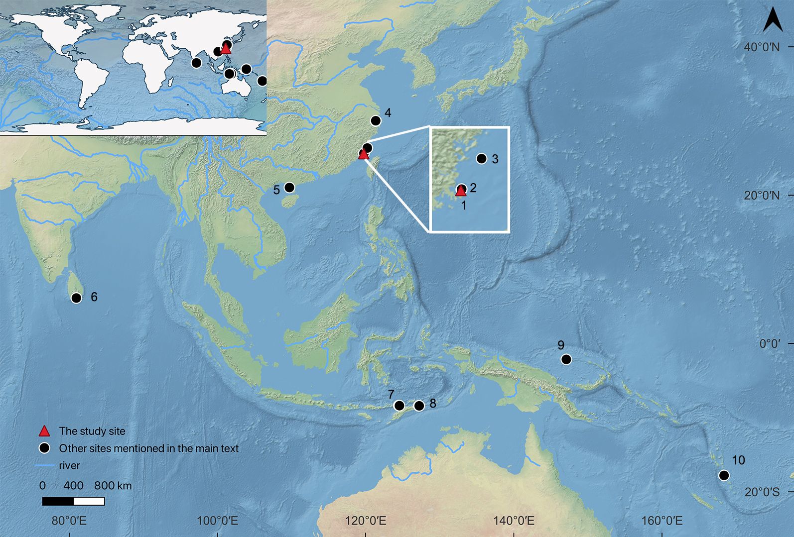 Figure 1_revised.jpg