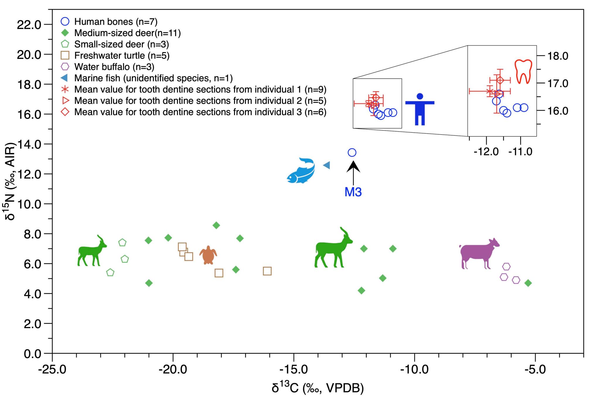 Figure 3-higher resolution.jpg